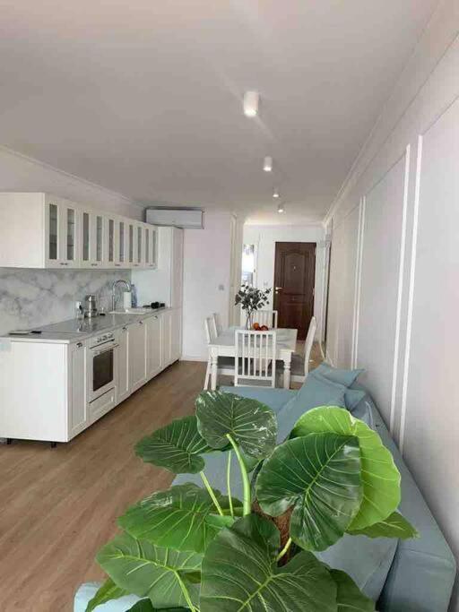 Flaming Apartment 4F Torrevieja Exteriör bild